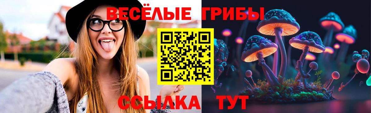 Галлюциногенные грибы прущие грибы Бузулук
